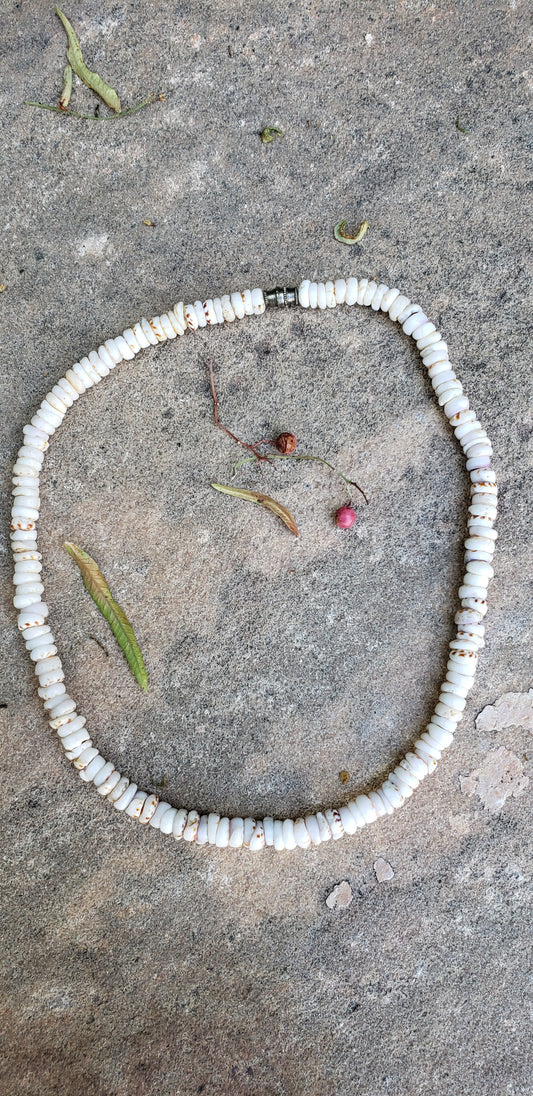 Puka Shell Choker